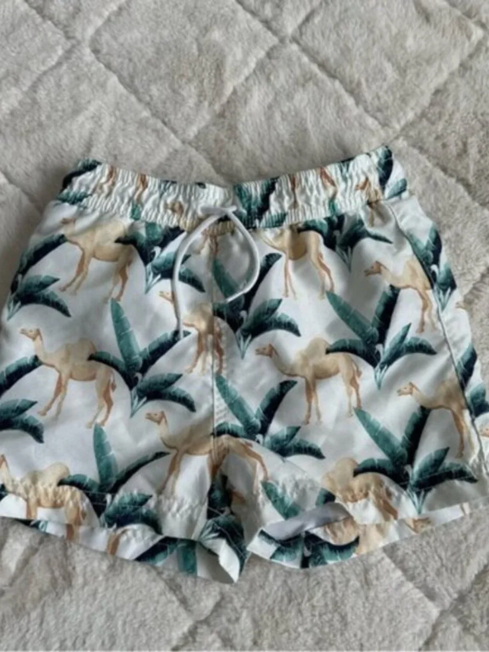 Janie & Jack | Boys Poplin Camel Print Shirt & Swim Trunks | Size 2T/18-24 Month